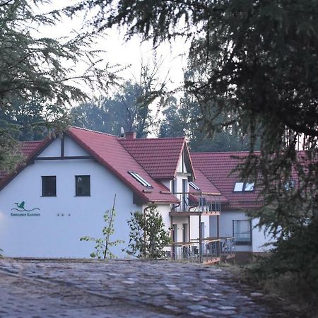 Siedlisko Klodno Daire Sulęczyno Dış mekan fotoğraf